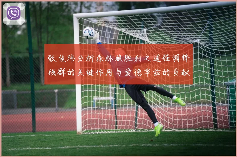 张佳玮分析森林狼胜利之道强调锋线群的关键作用与爱德华兹的贡献